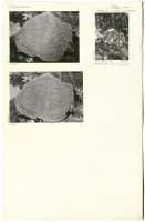 Hagby, Sparingsberg. U 148.