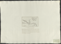 Afritning öfver gamla och nya vattuleden uti Vade åen.[Kartografiskt material]