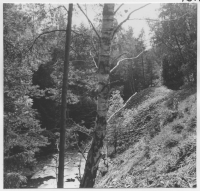 Tunabergs socken, rasbrant i skogen