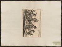 Deras övriga hästar för allmänt bruk