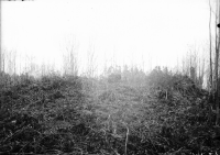 Njurunda, Kvitsle kyrkoruin