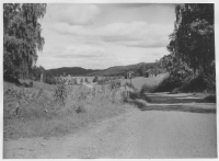 Vägen Dals-Långed - S Fjäll