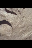 Image of Or Barnes10