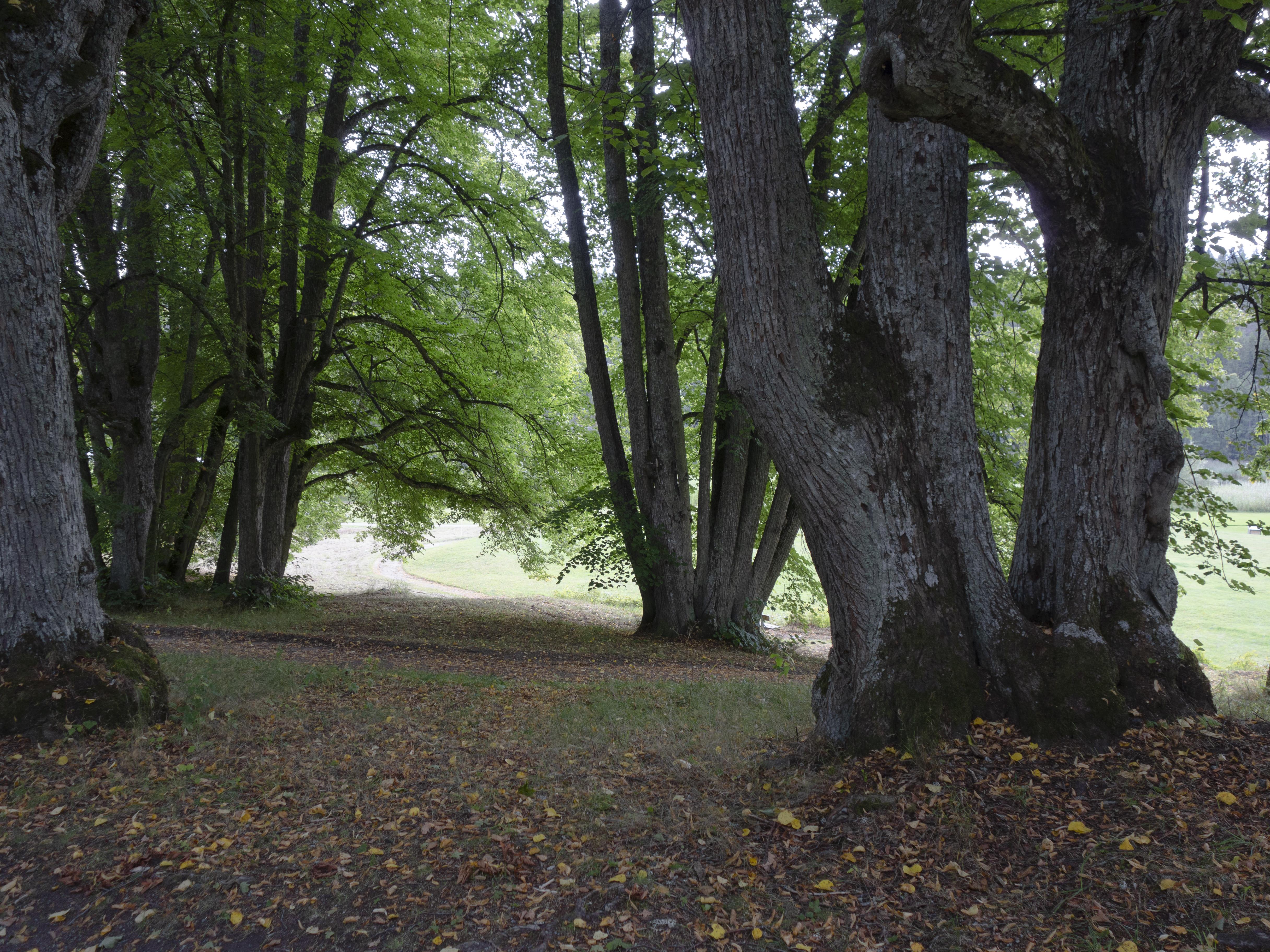 Leif Gren, Tyresö slottspark