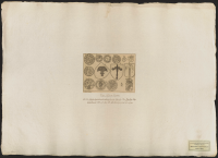 [Vasasläktens vapen].[Bild]