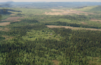 Bjurträsk - Vallsmyran