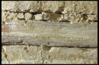 Image of Or Barnes18