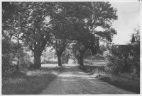 Venngarns slott, allé och stilträdgård