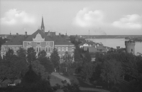 Umeå