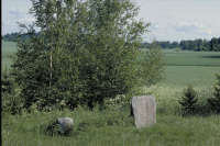 Image of Sö 198