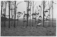 Vapnö socken, åkrar