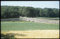 Höge väg Maltesholm