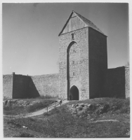 Visby ringmur och Dalmanstornet