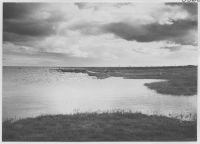 Källahamn, strandäng