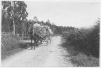 Vägen Sunnavik-Sirkön