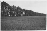 Säbylunds herrgård