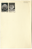 Hammarby. U 523, U 522.