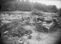 Varnhems klosterruin