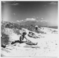 Falsterbo badstranden