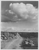 Vägen upp till Kungsarve gård