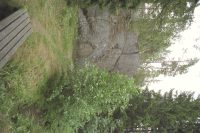 Image of Sö Sb1965;19