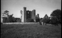 Bective Abbey