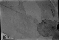 Sankta Gertruds kyrka