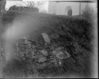 Mariefred, Kartusianerklostrets ruin