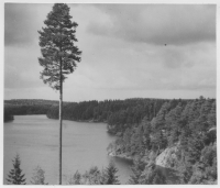 Klofstjärn, belysning vid vägen sydost om Bengtsfors