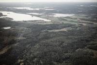 Gåsinge-Dillnäs 24:1