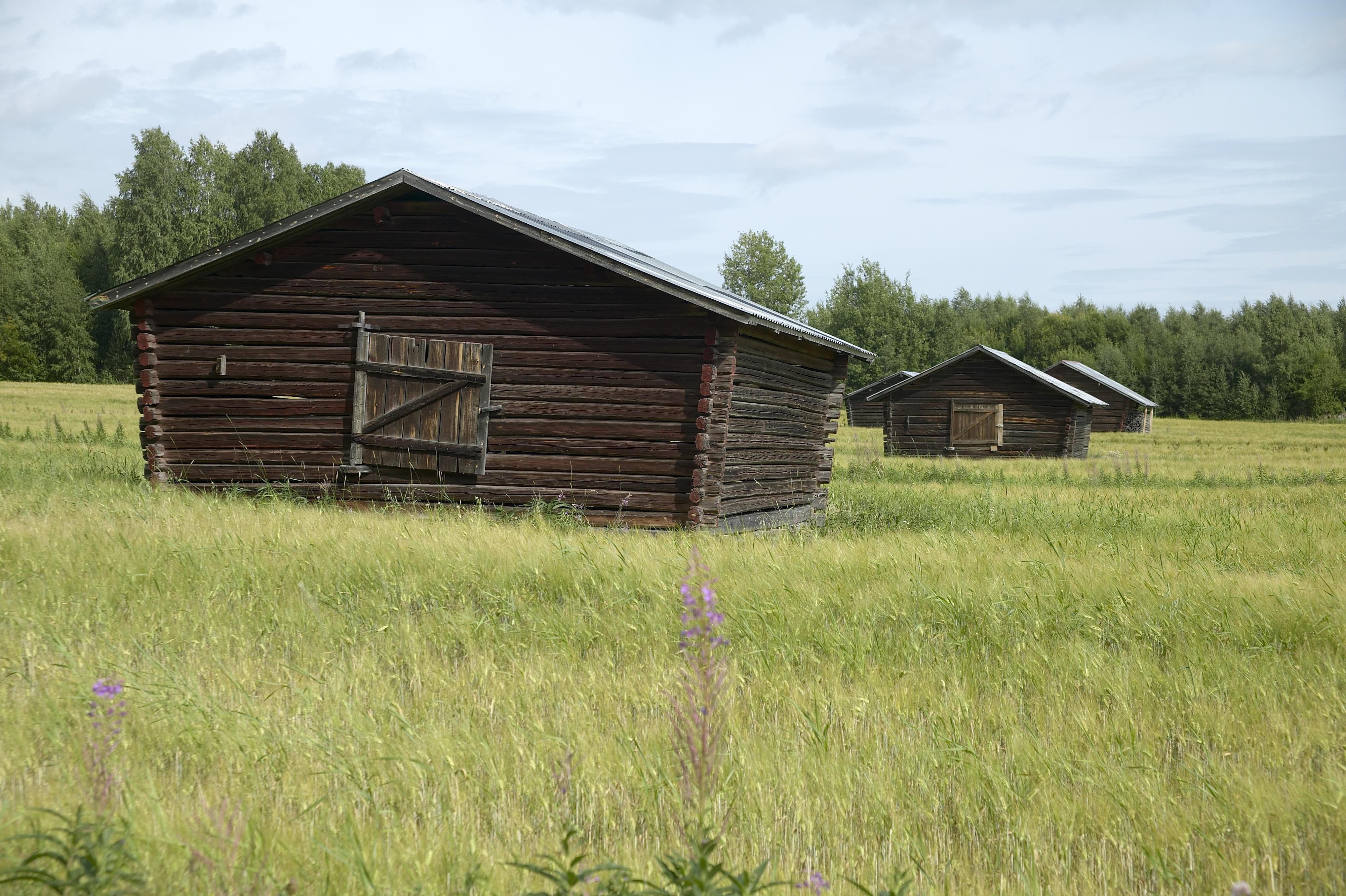 Bengt A Lundberg, Sjulnäs