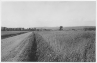 Landskap norr om Rogberga kyrka