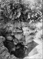 Dalby Heligkorskyrka