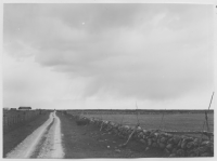 Näs vägen från havet