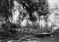 Skog, Sankt Olofs kapellruin