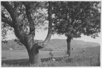 Orust, Morlandadalen i trakten av Hällevikstrand