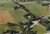 Västra Torsås 225:1