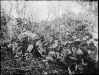 Skokloster, Flasta kyrkoruin, Flasta Mur