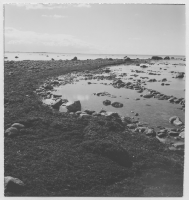 Grundården storbonde