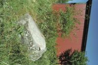 Image of Sö 195
