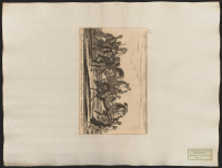 30. Hästar tillhörande hög- och välborne herr friherre Gustaf Banér, Svea rikes råd, smyckade med pannprydnader och andra ornament