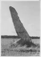 Omkring 4 meter hög kalkstensflisa rest söder om Mörbylilla (Uppodlat järnåldersgravfält)