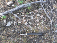 Skålan skärvstenar