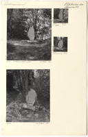 Hassmyra. Runsignum: Vs 24