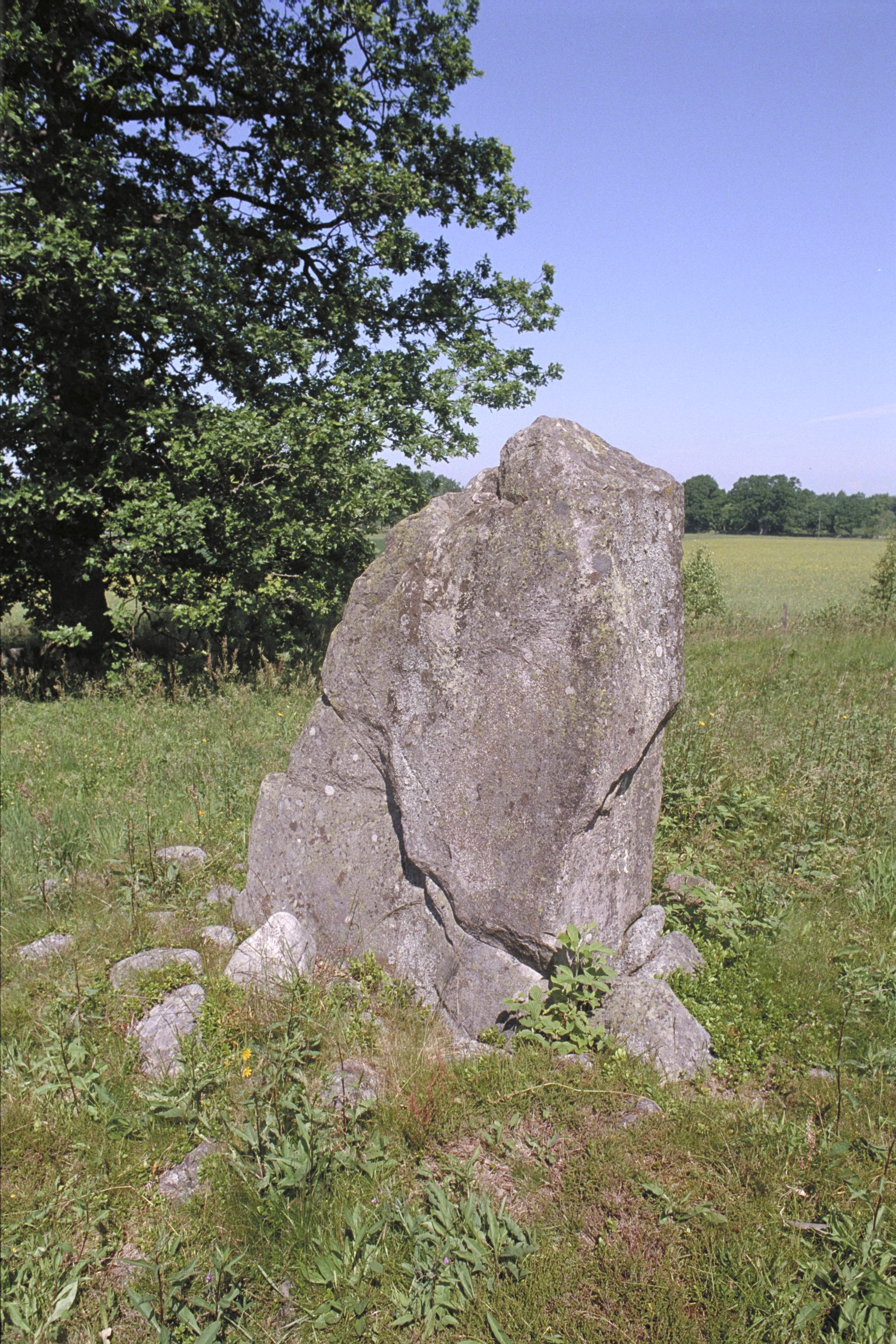 Bengt A Lundberg, Inglinge hög