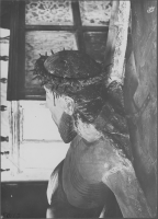 Vreta Klosters kyrka