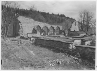 Alvastra klosterruin