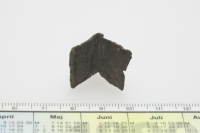 Image of Vg NOR2002;34