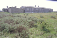 Image of Öl ACTARC37;211