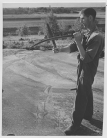 Bohuslän hällristningar